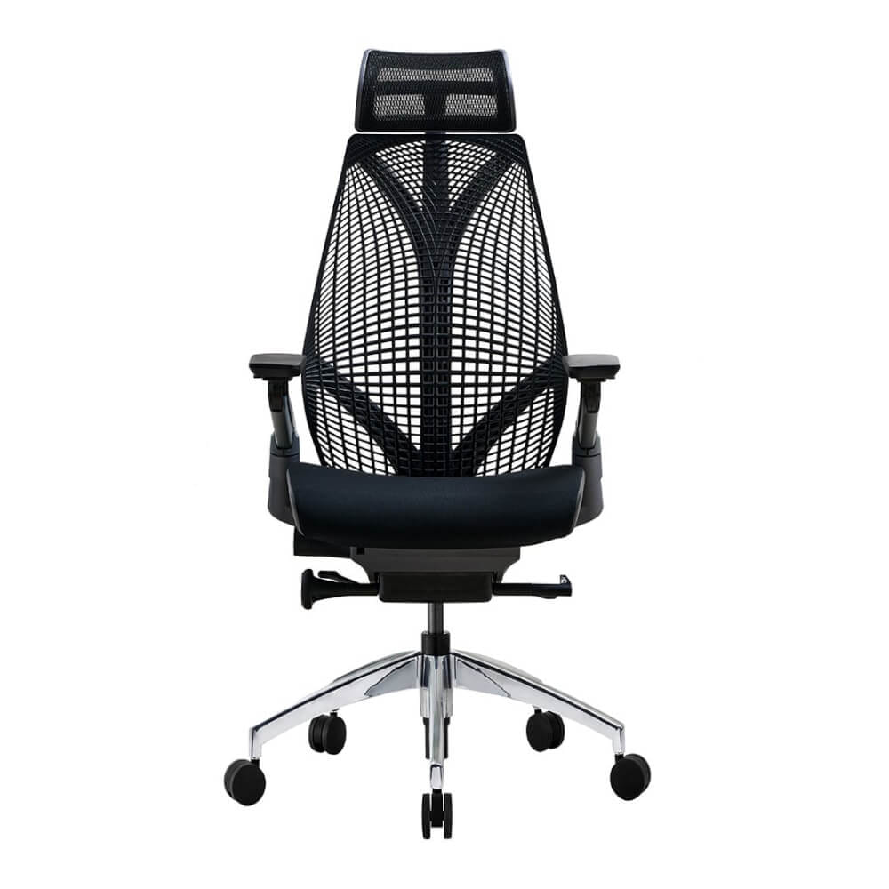 เก้าอี้เพื่อสุขภาพ DF PROCHAIR รุ่น iCare สีดำ_0